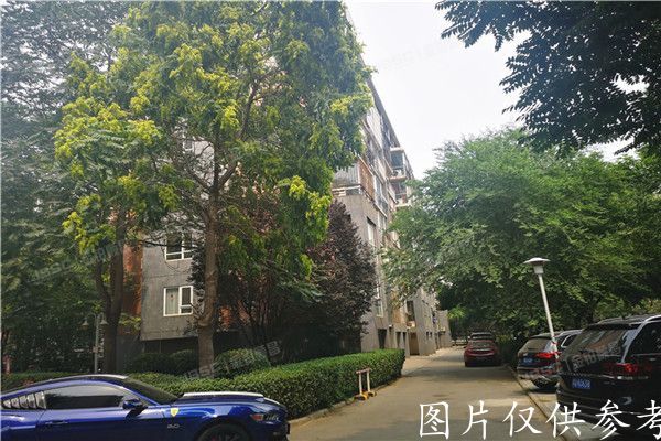 大兴区   丽园B区2号楼3单元501室