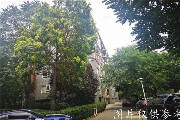 大兴区   丽园B区2号楼3单元501室