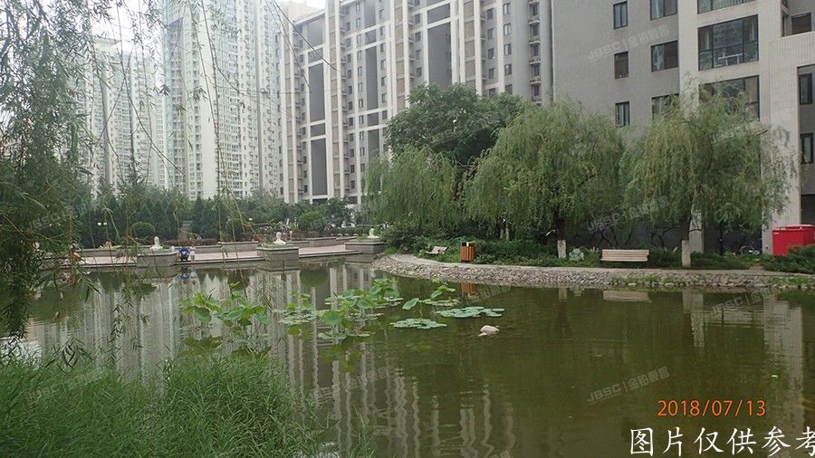 朝阳区  望春园12号楼4单元202号