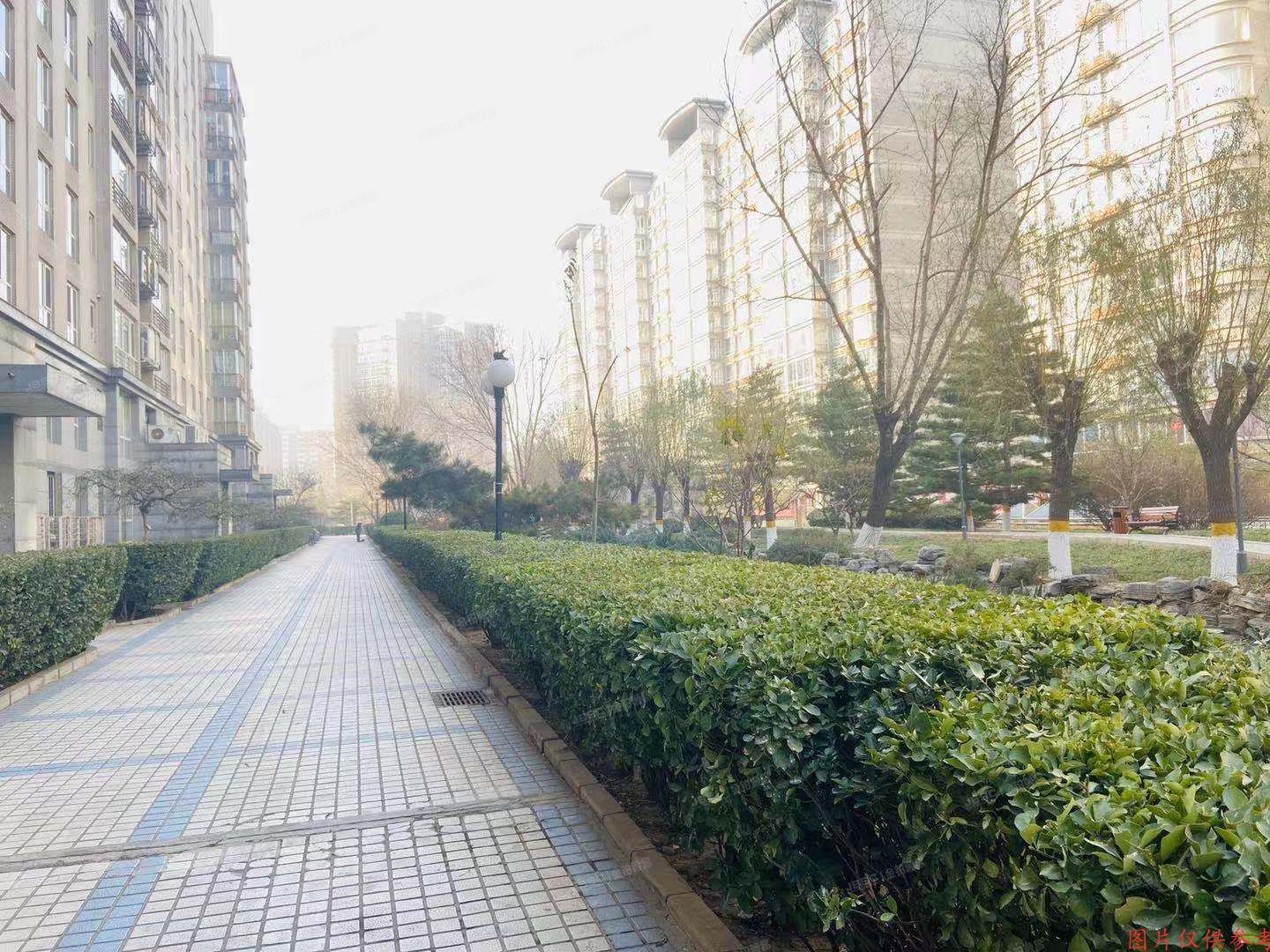 海淀区鲁园上河村B二区1幢3单元5层501室