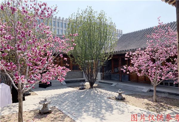 西城区 丁章胡同5号-1至1层101