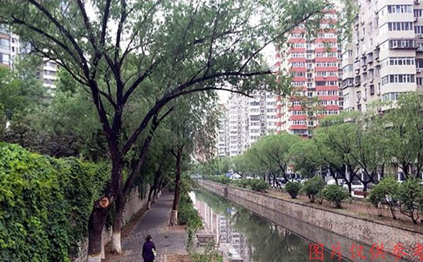 朝阳区 光熙家园4号楼1单元1201室