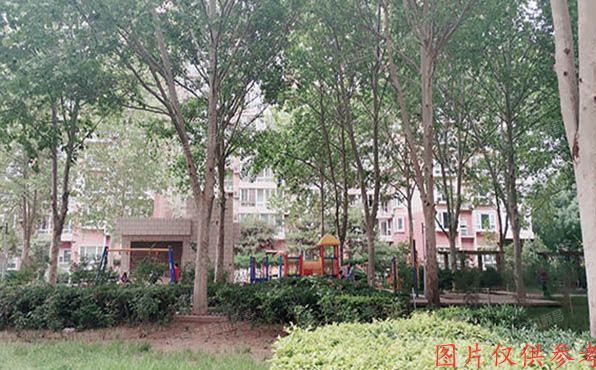 海淀区 魏公村街1号韦伯豪家园4号楼5层508