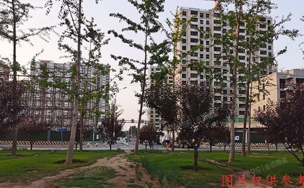 朝阳区 平房乡黄渠村63号土地及在建工程