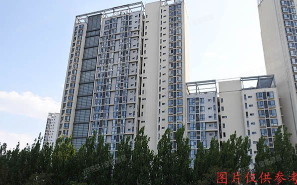 通州区 杨庄北里6号楼8层3单元801号（天时名苑）