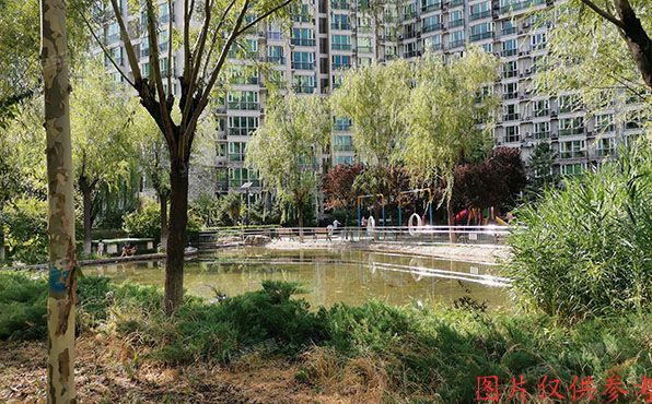 海淀区 蓝靛厂时雨园8号楼15层18C室