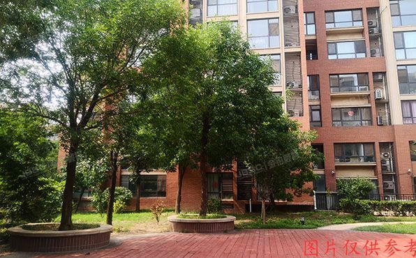 通州区 榆景苑二区19号楼2层3单元201号、202号（8哩岛）