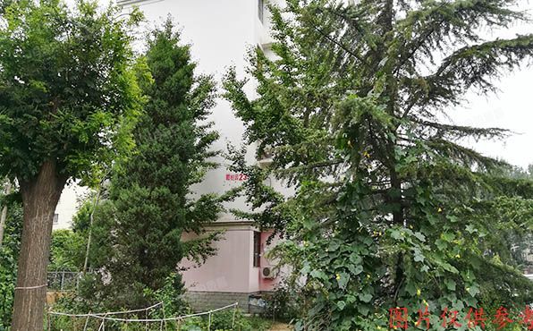 房山区-长阳镇 碧桂园23号楼1层3单元102号