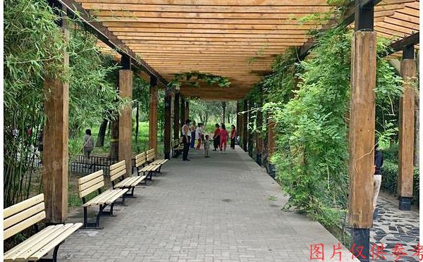 朝阳区 东三环南路54号院12号楼1303号（华腾园）