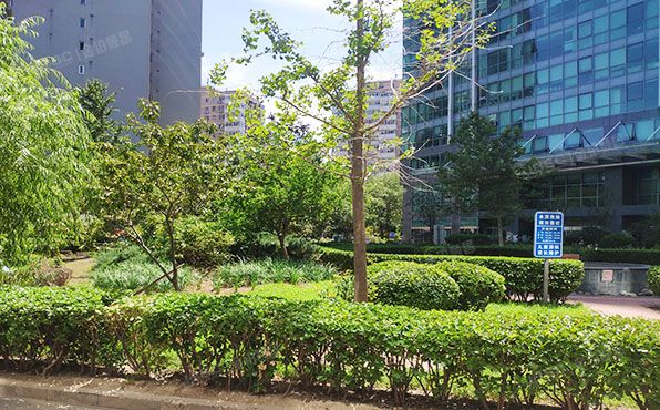 朝阳区 新源里16号7层3座705号（琨莎中心）