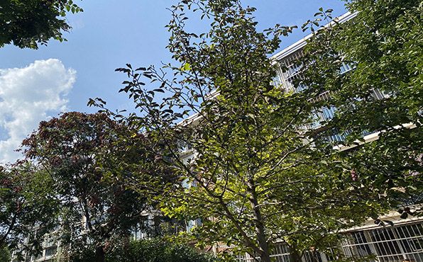 海淀区 双新园24号楼2单元402室