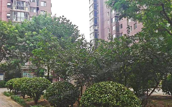 通州区 梨园西里33号楼6层1单元703号（新通国际花园）