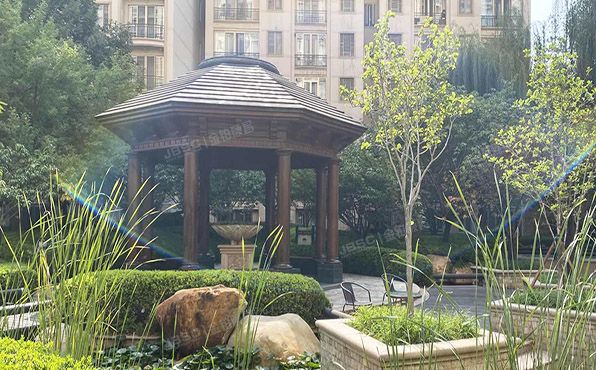 朝阳区 四季星河中街1号院6号楼1至2层3单元102（星河湾朗园）