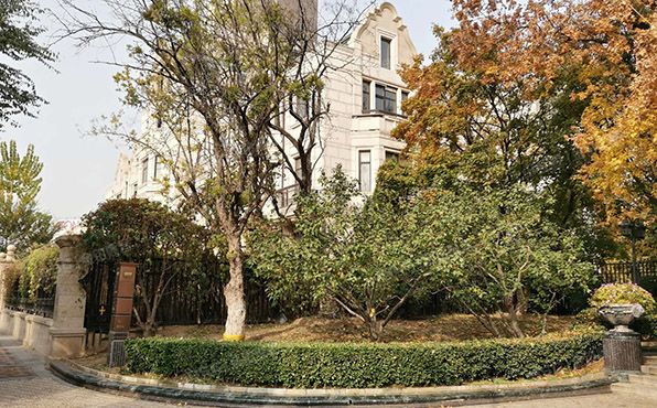 丰台区  丰葆路98号院二区1号楼-1至3层05（ 中海九号公馆二区）