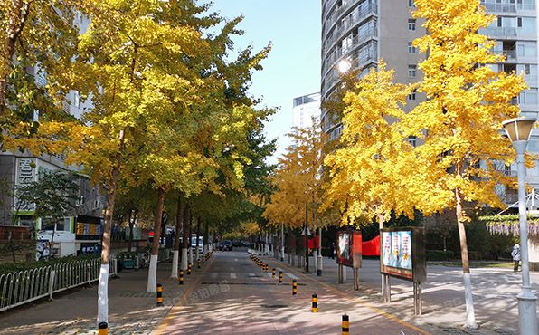 朝阳区 八里庄西里71号楼1903（远洋天地）