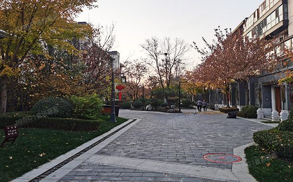 朝阳区 顺黄路8号院19号楼-2至3层104号（泰禾北京院子）