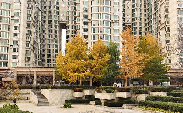 通州区 八里桥南街68号7号楼19层1单元2207（京贸国际公寓）