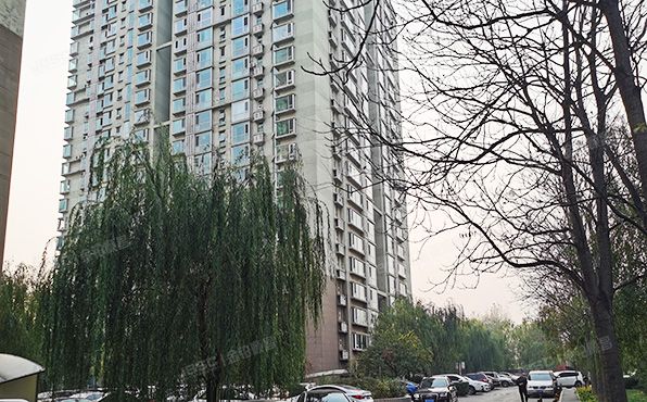 通州区 八里桥南街68号7号楼19层1单元2207（京贸国际公寓）