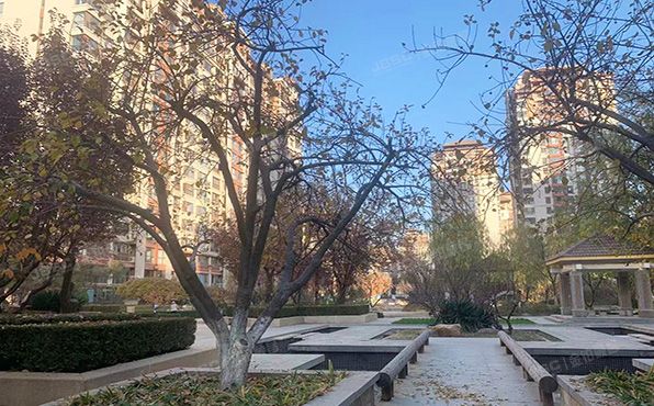 朝阳区 黄厂南里2号院5号楼5层2单元602（富力又一城）