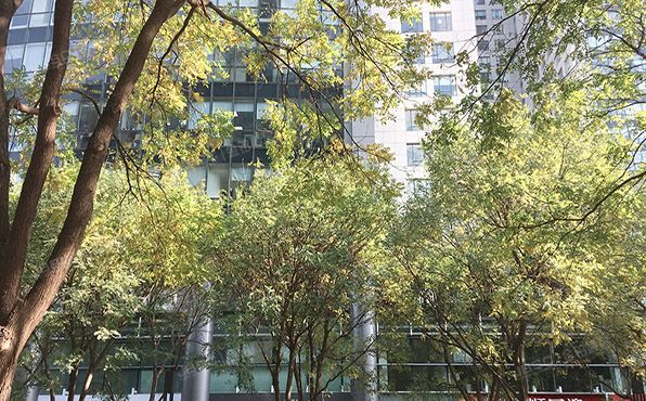 朝阳区 朝外大街乙6号2层0162C（朝外SOHO）商业