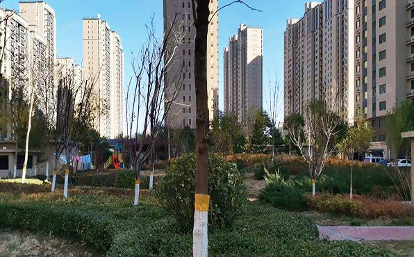 通州区 东潞苑一区5号楼3层3单元304号（通瑞嘉苑）