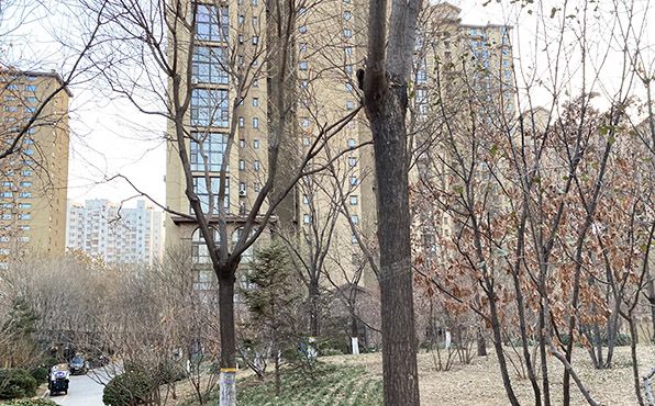 大兴区 兴泰街5号院14号楼11层1101（首邑溪谷）