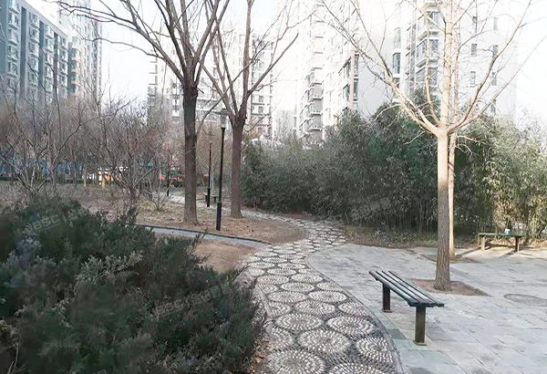 朝阳区 双花园南里二区9号楼12层3单元1201（CBD总部公寓二期）