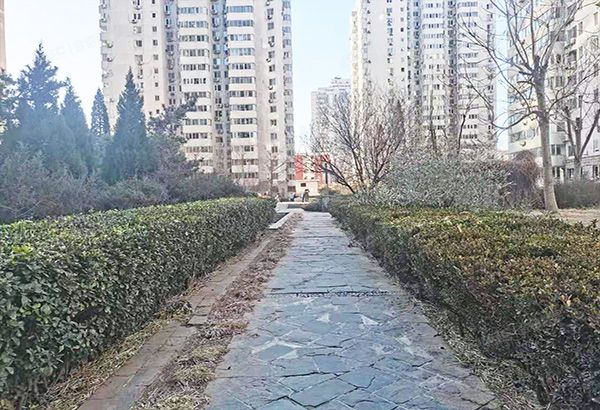 海淀区 文慧园北路9号今典花园5号楼18层1803（今典花园）