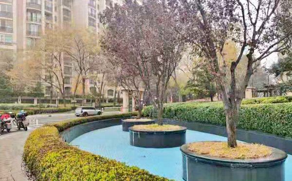 朝阳区 四季星河中街1号院1号楼10层3单元1102号（星河湾朗园）