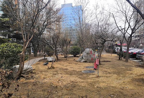 大兴区-黄村镇 三中西巷15号院1号楼6层5-601（康宁小区）