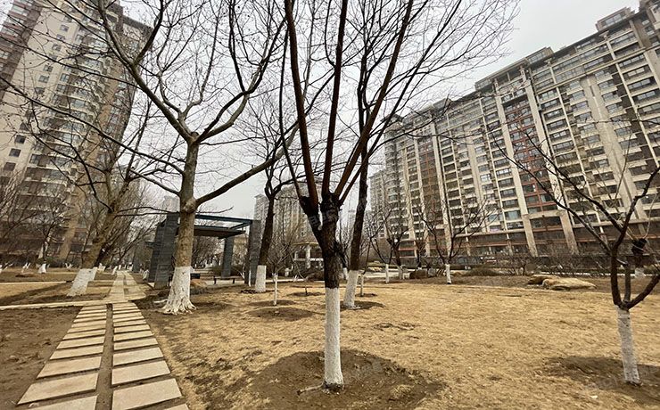 朝阳区 黄厂南里2号院21号楼1层3单元108号（富力又一城B区）