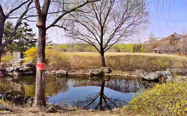 顺义区 鸿锦园84号-1至2层全部（清锦源）独栋