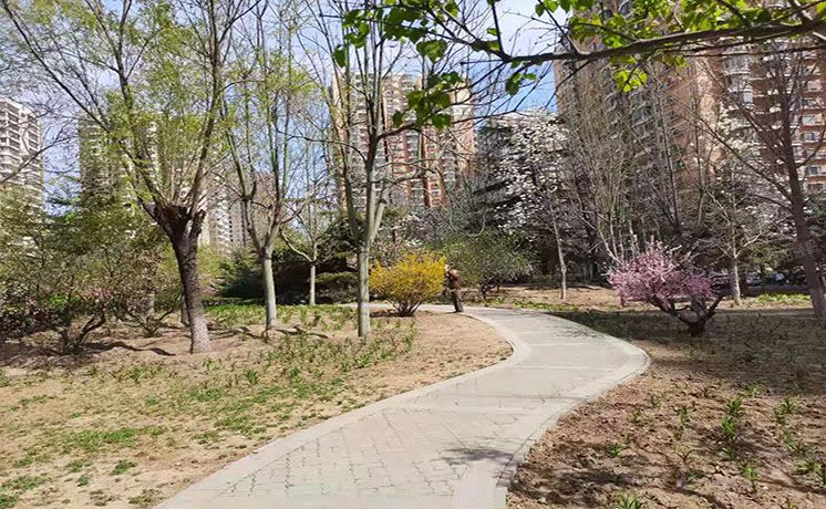 朝阳区 东三环南路54号院3号楼21层2110（华腾园）