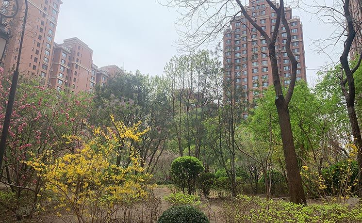 西城区 广安门外大街305号二区1号楼6层2单元705（西堤红山）