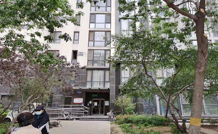 通州区 杨庄北里11号楼-1至1层1单元101（天时名苑）