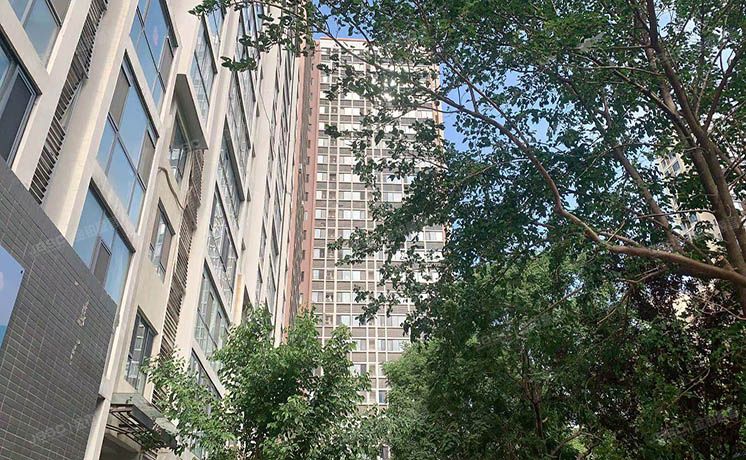 朝阳区 百子湾东里209号楼9层1单元902（沿海赛洛城）