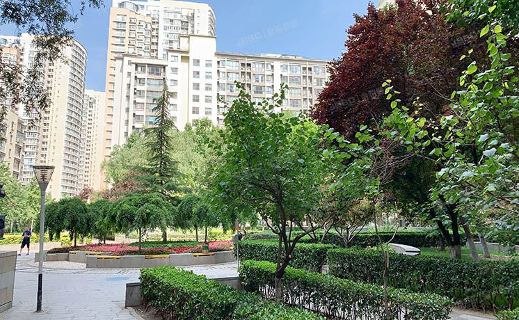 朝阳区 八里庄西里62号楼7层706号（远洋天地）