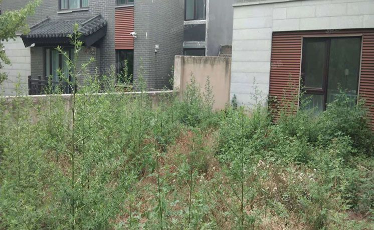 昌平区 南口路30号院四区68号楼-1至2层（北京湾）独栋