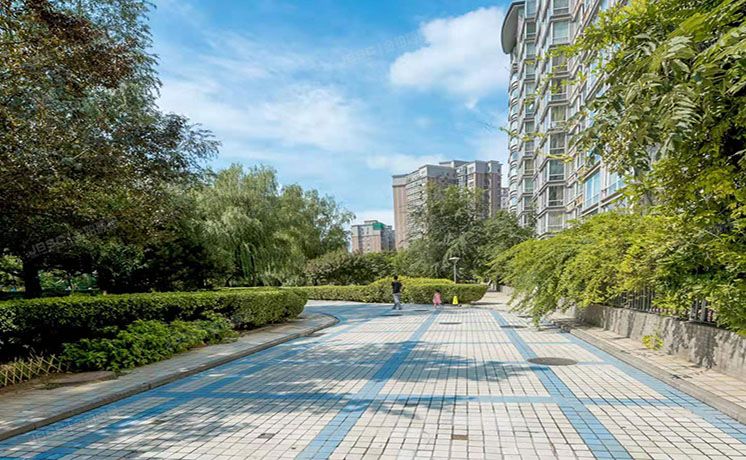 海淀区 上河村一区1号楼1层5单元101室（鲁艺上河村）