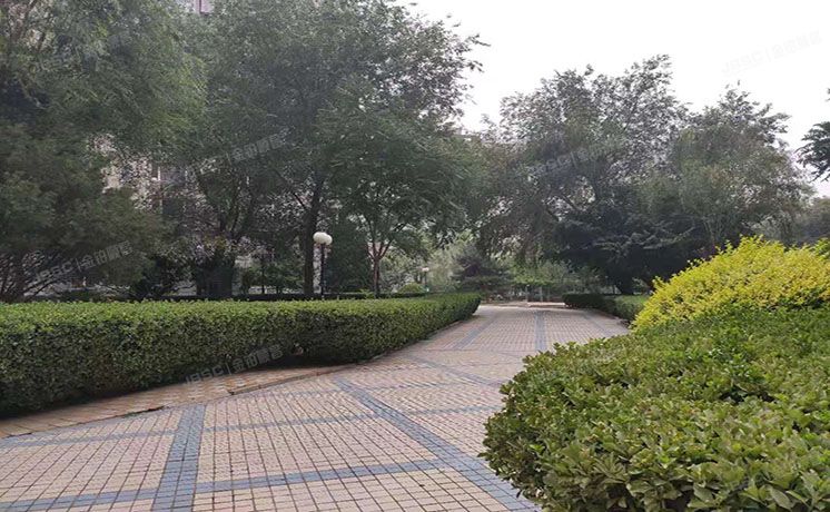 海淀区 上河村一区1号楼1层5单元101室（鲁艺上河村）