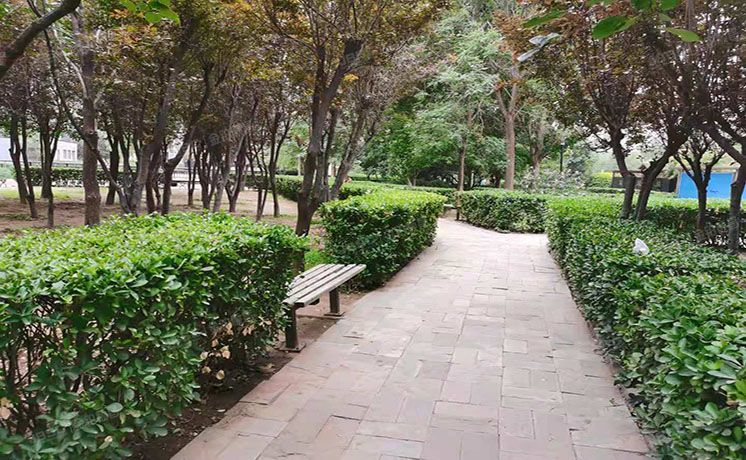 朝阳区 青年路西里3号院6号楼10号楼共计七套（国美第一城）商业