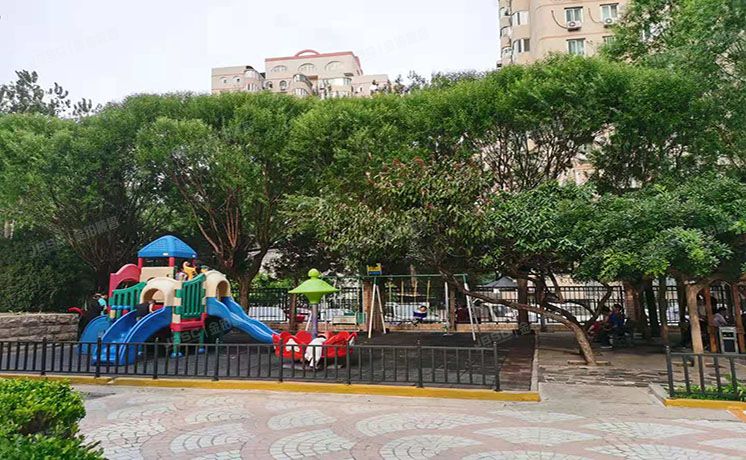 朝阳区 惠新西街18号D幢8层801（罗马花园）