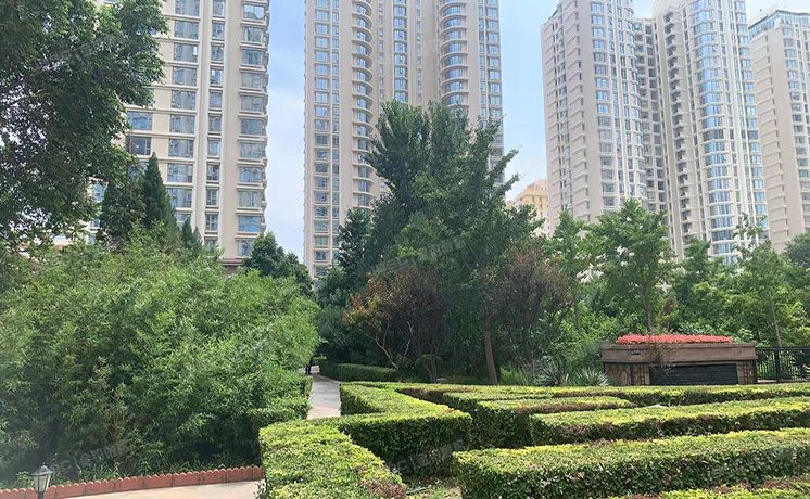 朝阳区 朝阳公园8号院3号楼27层3102号（棕榈泉国际公寓）