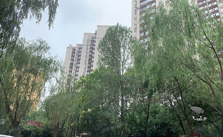 丰台区 芳城园一区12号楼21层甲门2110室（芳城园一区）