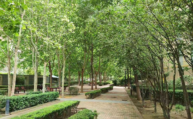 昌平区 创新园18号楼2层2单元202号（金隅万科城）