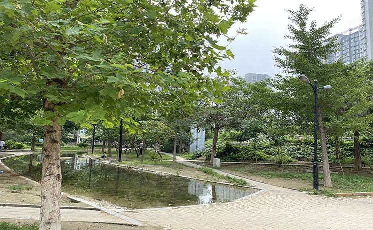 朝阳区 青年路西里2号院8号楼3层T8单元302室（国美第一城）