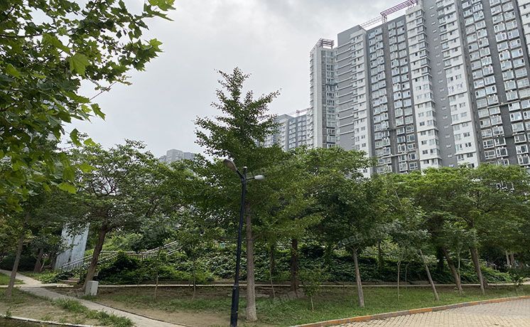 朝阳区 青年路西里2号院8号楼3层T8单元302室（国美第一城）