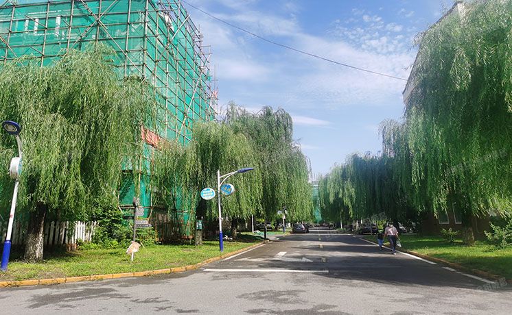 顺义区 马坡花园28号楼1至2层三单元102（马坡花园）复式