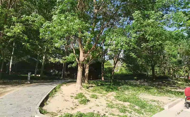 朝阳区 百子湾路32号院南5号楼1层B座106（苹果社区南区）