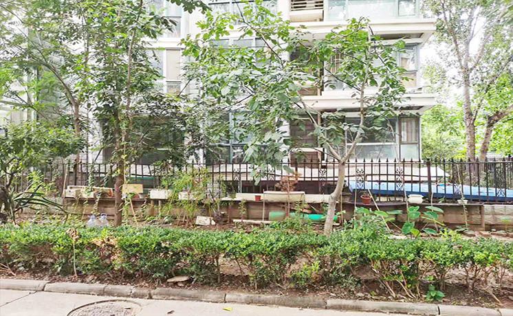 通州区 杨庄南里80号楼1单元102号（世纪星城）